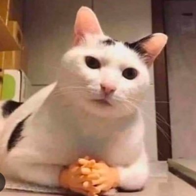 Ana_H1N1's profile picture. No sirvo para pretender que soy tibia, pero toca aparentar.