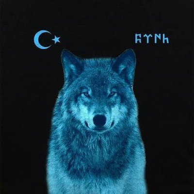 BUYUKKARADAYI's profile picture. #CrunchieOG