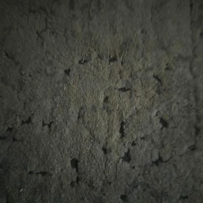 patliem's profile picture. 