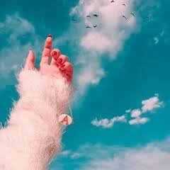 AmNwf21's profile picture. مهتمة بعالم الرياضة واحب النصر