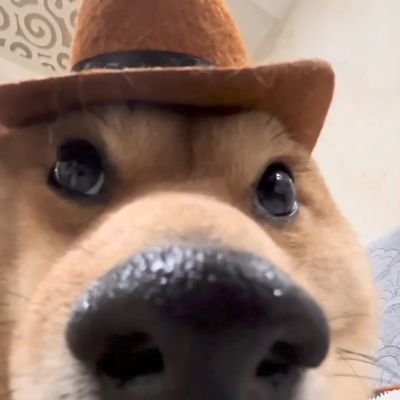 _subhra_jyoti's profile picture. 