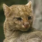 willfragment's profile picture. 🦋 https://t.co/hdA6lxqKEp
✨ https://t.co/VK739Ac6KD