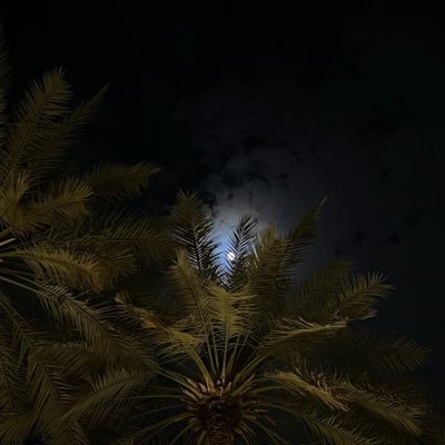 _sarasalh's profile picture. English Language & Translation student at @QassimUniv1 | Growing through knowledge, inspired by languages and cultures.