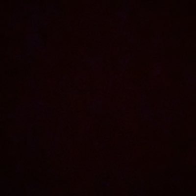 Tiltified's profile picture. Loading...