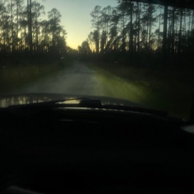 2deep1nsh1t's profile picture. 18
ill post wtv i feel like