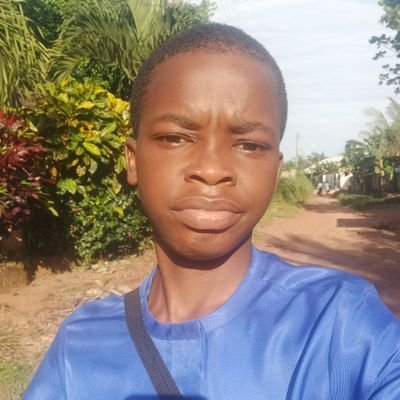 _notowenn's profile picture. Arcium - Add ☂️ to X Bio