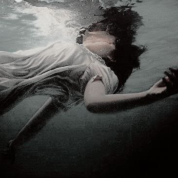 fi40n's profile picture. 