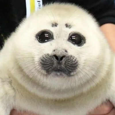 adhdsda19617's profile picture. 