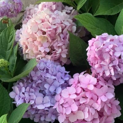 NewHere985's profile picture. The louder /whinier the left gets, the closer we are to making America great again for Citizens 1st. The left won’t be satisfied until Americans are extinct.