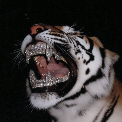 2HANDS2HEAV3NN's profile picture. I Iike girls and shit