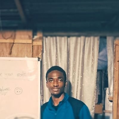 bigembee's profile picture. building @roboticsdiaries