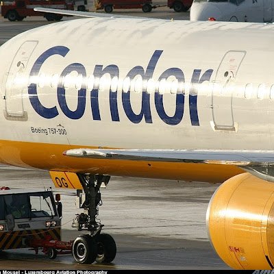 of_nba38875's profile picture. 