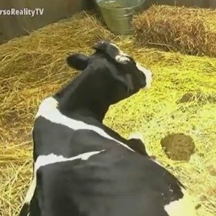 pinkandlovers's profile picture. 