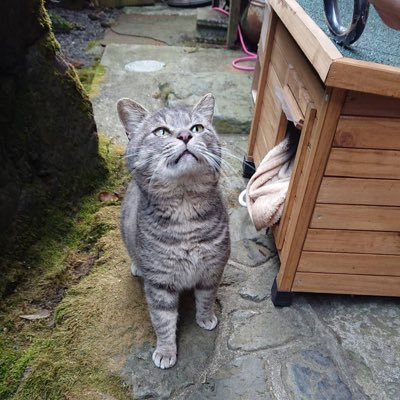 ggc_j6's profile picture. PJと知り合いたいwww