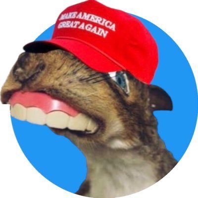 LaforcedeJesus's profile picture. PIRATE 🏴‍☠️ AVEC DES NOIX / WHISTLE BLOWER TRANSMETTEURS, CRIEUR, COURROIE DE TRANSMISSION,RELAYEUR D’INFO, LA GRAND GUEULE DE LA POPULATION ACCOSE DU DENTIER!
