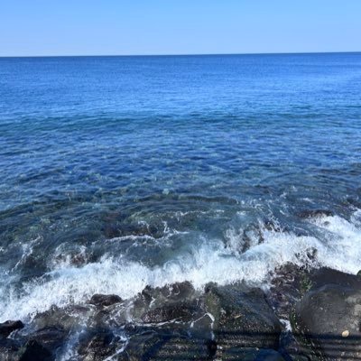 Taleen1717's profile picture.