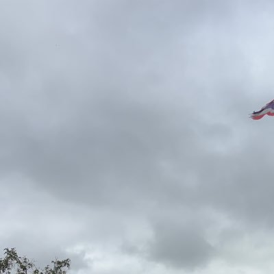 hbbtyuoo's profile picture. 