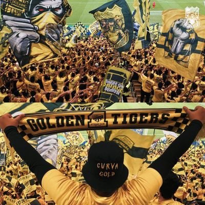 AboAbdulAz30366's profile picture. باريستا ☕ | اتحادي 💛🖤 | متيم بريال مدريد 🤍 ⚽ | أهوى الأكل 🍔 | كسول أحيانًا 😅 ونسياني جزء مني 🤷‍♂️