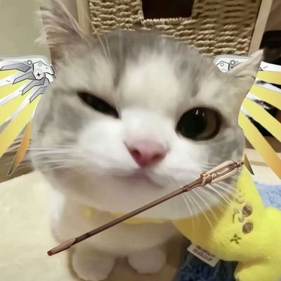 anzu999x's profile picture. ow enthusiast // masters in water college // mercy enjoyer