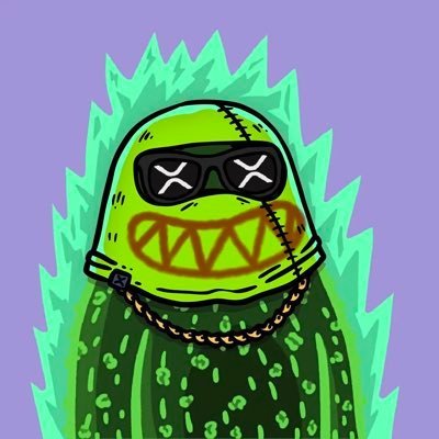 TurtleC29054's profile picture. 