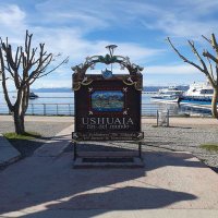 Martini (@martini95364799) 's Twitter Profile Photo