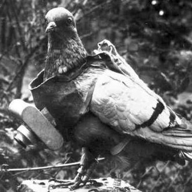 literallyredard's profile picture. $SPX
#SPX6900