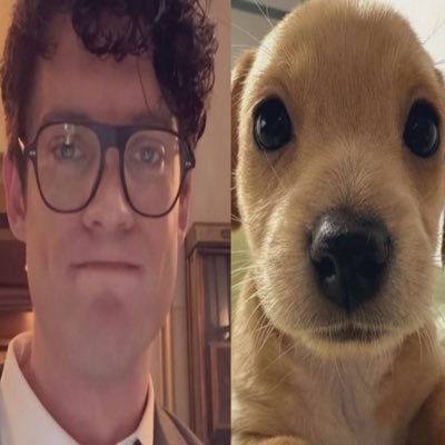 pinkpeonieslvr's profile picture. everything enjoyer