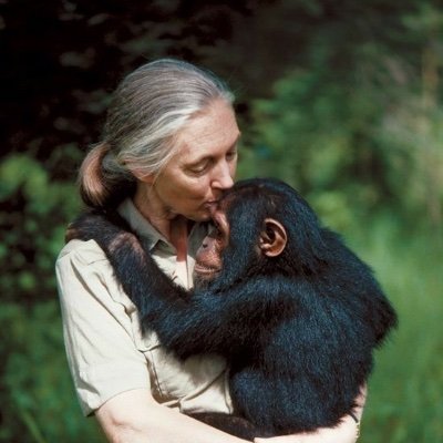 Morpheus2oc's profile picture. Just an undergrad learnin'

Social butterfly scientist