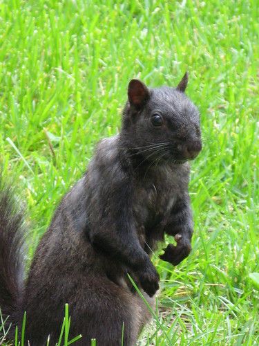 yumpay22's profile picture. Genetic Counsellor