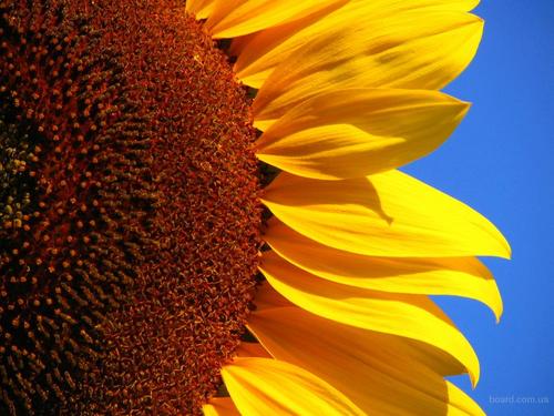 Alexandr_Debag's profile picture. Вечнооченьголодный студент. Крайний левый правый в лоб.