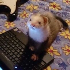 HunterGerald34's profile picture. 