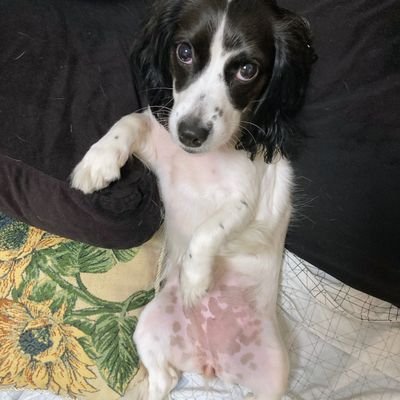 realslimjuane's profile picture. People Who Like This Sort of Thing Will Find This the Sort of Thing They Like. Silenciador serial. Lord of decretazos, memes and playlists.