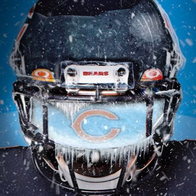 noybee23's profile picture. 🐻⬇️