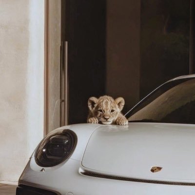 rmass35_r's profile picture. الشاهيّ ياخذ مكانك ويُزود .