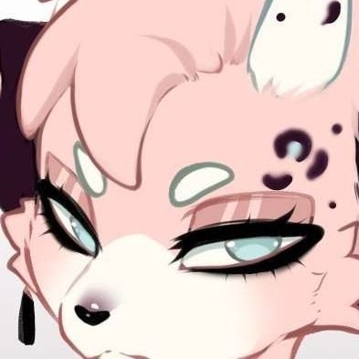 🖤𝕴𝖗𝖎𝖘🩷さんのプロフィール画像