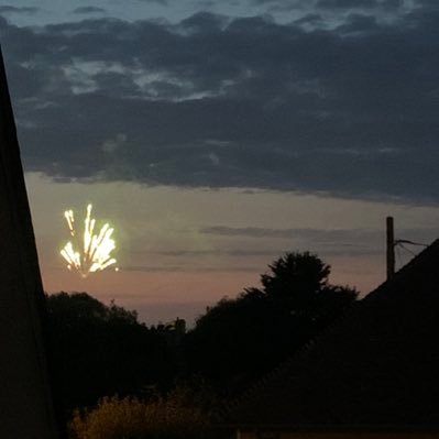 mouseyland's profile picture. overthinking everything