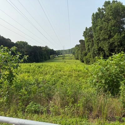 sofreshplaya97's profile picture. Atl bbw’s get at me, freaky black man looking for a good time