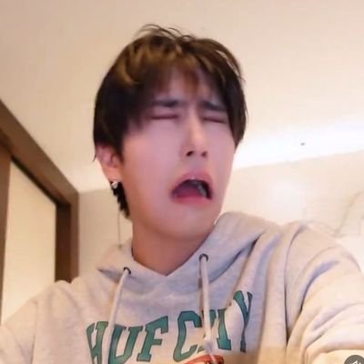 jinpirikitudo's profile picture. skz paved the way