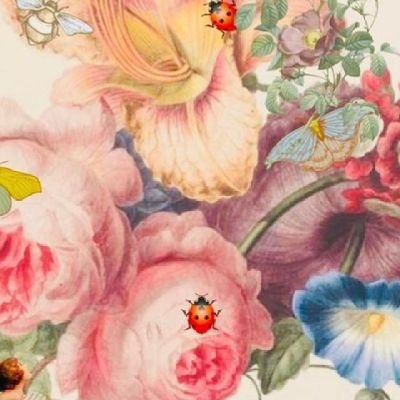 skylar_read's profile picture. 