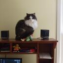 Lee Ellen Beach - @LeeEllenBeach - Twitter