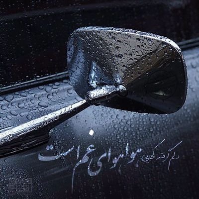 kami1234520's profile picture. 