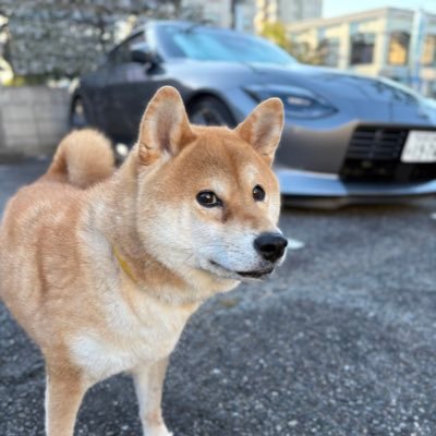 1974rz34's profile picture. 趣味雑多垢。楽しくカーライフ。ラーメン大好きおじ（い）さん。趣味はドライブ。