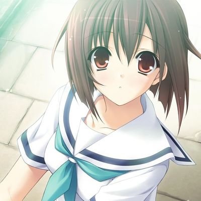pompomudin's profile picture. 