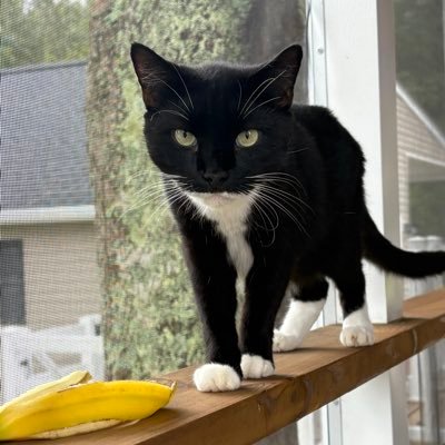 Larry2bags's profile picture. My get up and go, musta got up and went