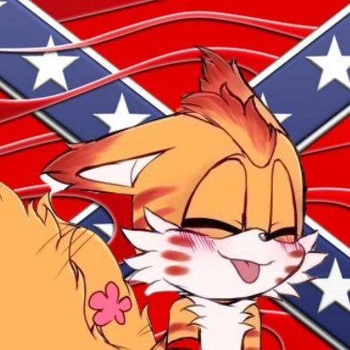 tailsisBAKC's profile picture. Miles"Tails"Prower
3rd Order Carmelite TradCath Southern MAGA (Radicalized)
If you block me youre gay and if i block you youre gay
AVE CHRISTUS REX