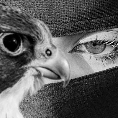 ryad_l11050's profile picture. 