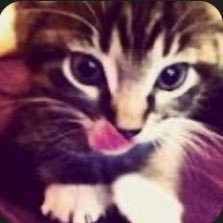 spider63183's profile picture. 