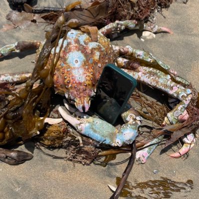 ranch0negr0's profile picture. Cannabis & Cactus CLONE LIST @ https://t.co/8rTmBneKFU