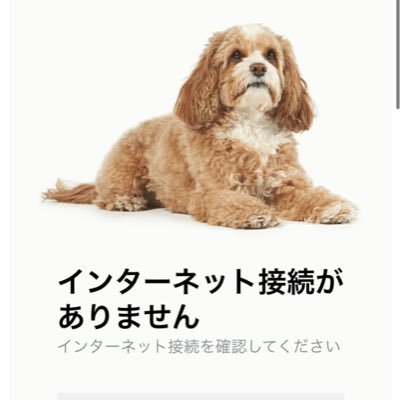 404VWV404's profile picture. ー