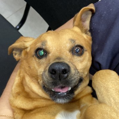 nabeeatriz's profile picture. sei lá